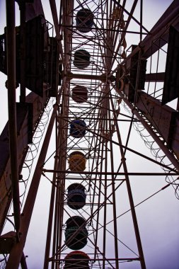 Eski boş atlı karınca 