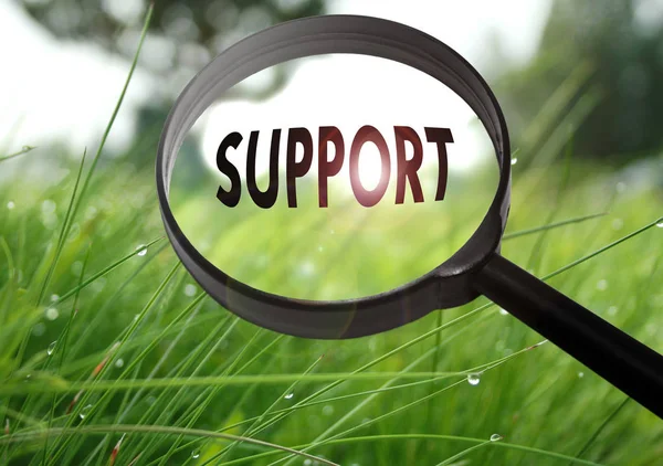 Magnifying glass with the word support on grass background. Selective focus — Stock Photo, Image