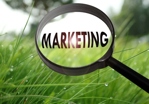 Lente d'ingrandimento con la parola marketing su sfondo erba. Focus selettivo — Foto Stock