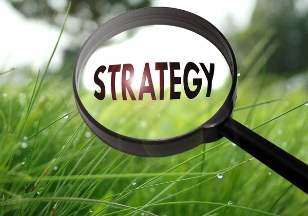 Увеличительное стекло со словом "стратегия" на фоне травы. Селективный фокус — стоковое фото