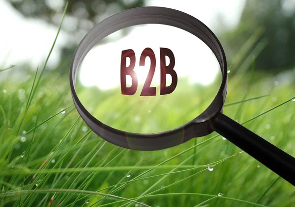 B2b (Business to Business)) — Stockfoto