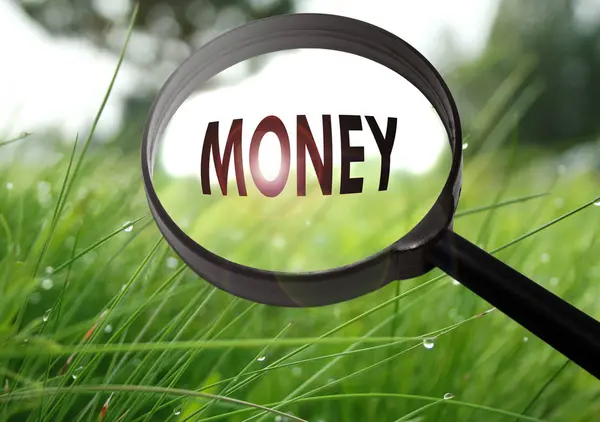 Magnifying glass with the word money on grass background. Selective focus — Stock Photo, Image