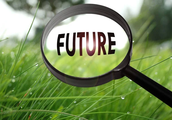 Magnifying glass with the word future on grass background. Selective focus — Stock Photo, Image