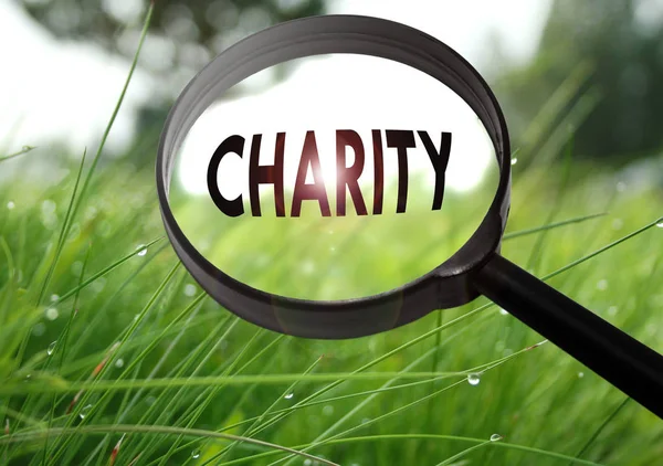 Magnifying glass with the word charity on grass background. Selective focus — Stock Photo, Image