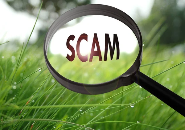 Magnifying glass with the word scam on grass background. Selective focus — Stock Photo, Image