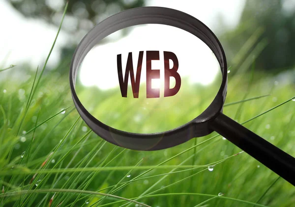 Lente d'ingrandimento con la parola web su sfondo erba. Focus selettivo — Foto Stock