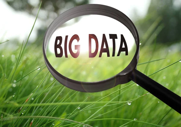 Lupa con la palabra big data sobre fondo de hierba. Enfoque selectivo —  Fotos de Stock