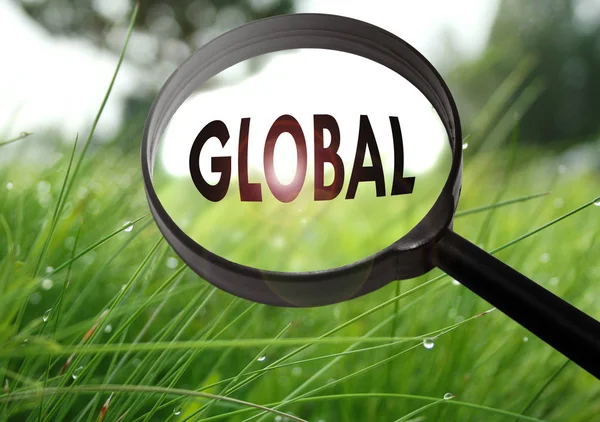 Förstoringsglas med ordet global på gräs bakgrund. Selektivt fokus — Stockfoto