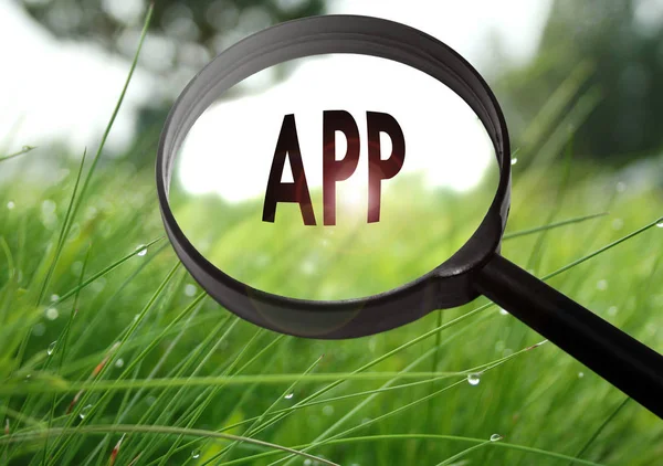 Lupa con la palabra app (aplicación) sobre fondo de hierba. Enfoque selectivo —  Fotos de Stock