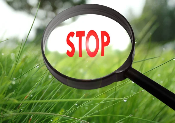 Lente d'ingrandimento con la parola stop su sfondo erba. Focus selettivo — Foto Stock