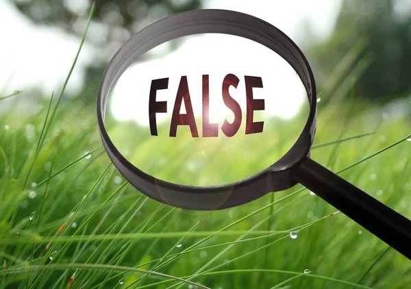 Magnifying glass with the word false on grass background. Selective focus — Stock Photo, Image