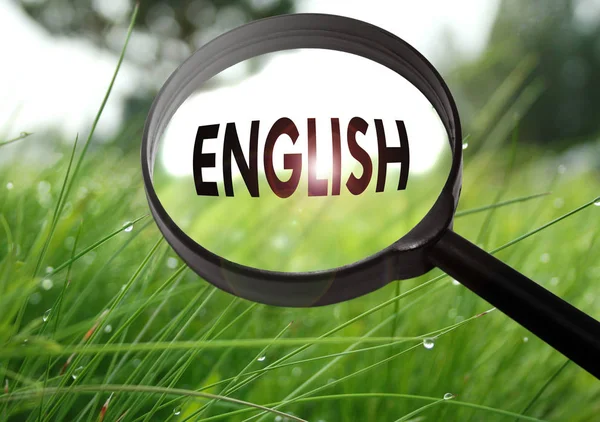 Lente d'ingrandimento con la parola inglese su sfondo erba. Focus selettivo — Foto Stock