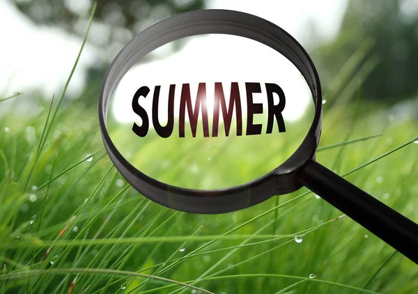 Lupe mit dem Wort Sommer auf Grashintergrund. Selektiver Fokus — Stockfoto