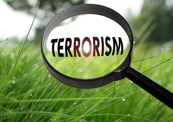 Magnifying glass with the word terrorism on grass background. Selective focus — Stock Photo, Image