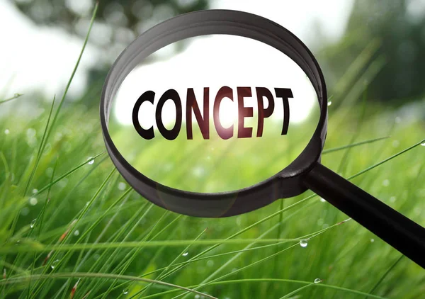 Magnifying glass with the word concept on grass background. Selective focus — Stock Photo, Image