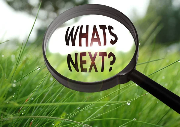 Magnifying glass with the word whats next on grass background. Selective focus — Stock Photo, Image