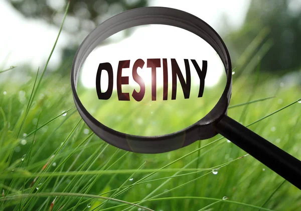 Magnifying glass with the word destiny on grass background. Selective focus — Stock Photo, Image