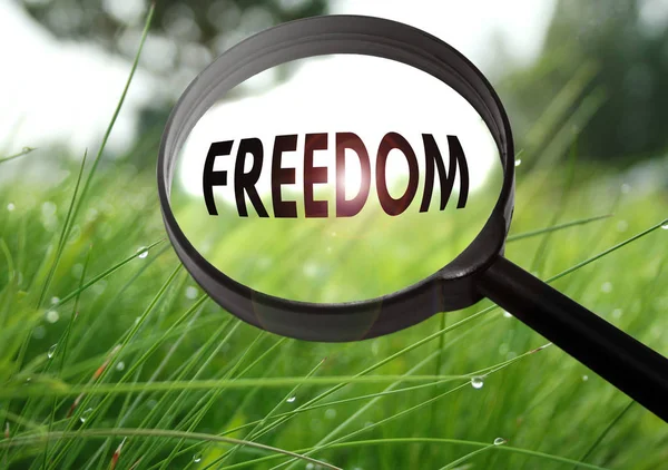 Magnifying glass with the word freedom on grass background. Selective focus — Stock Photo, Image