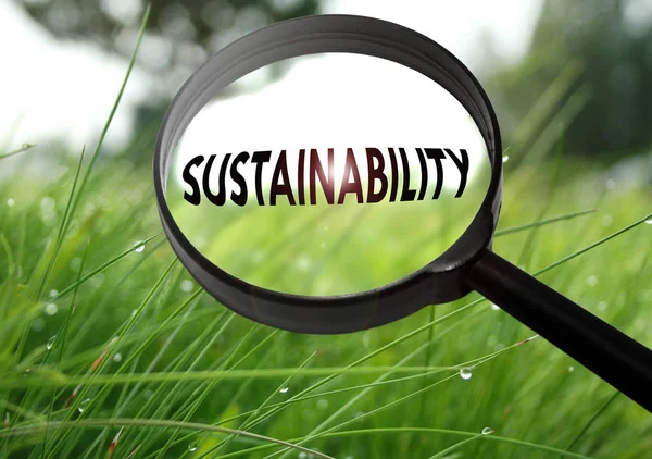 Magnifying glass with the word sustainability on grass background. Selective focus — Stock Photo, Image