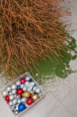 Christmas is over conceptual image. Dry fir xmas tree with fallen needles on the floor to be removed. Dry natural tree. clipart