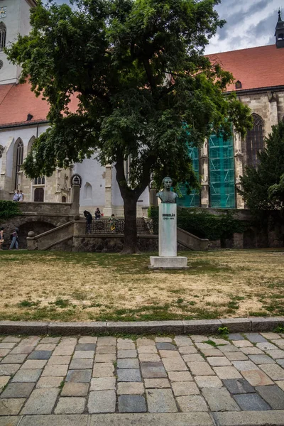 Frente a la Catedral de San Martín en Bratislava —  Fotos de Stock