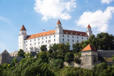 Gündüz Bratislava Kalesi Slovakya 'nın ünlü manzarası