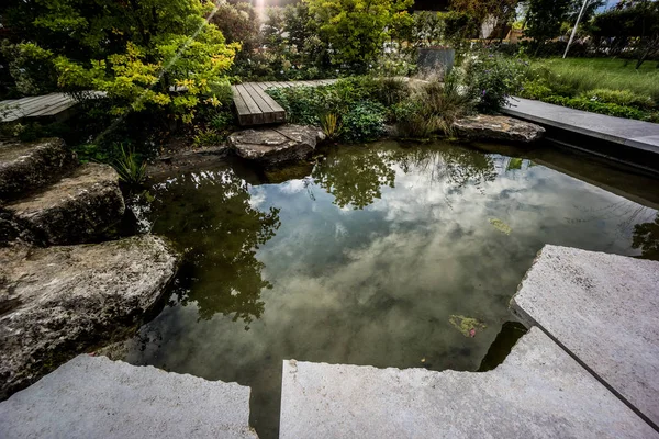 Krásný rybník v zahradě přírody — Stock fotografie