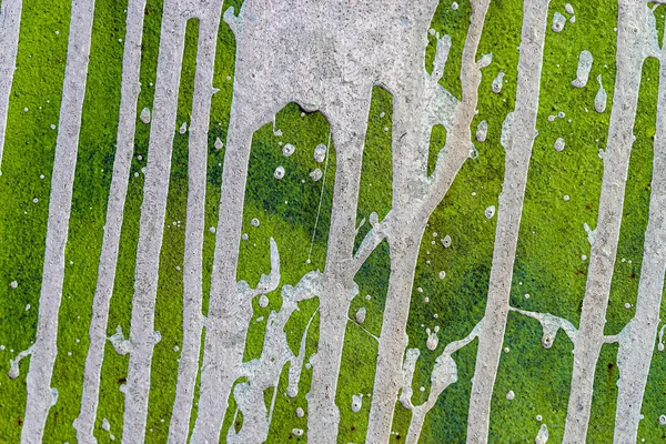 The dirty surface of the green painted metal sheet is poured with white paint. White paint splashes and runs down lines. Abstract colorful texture background.