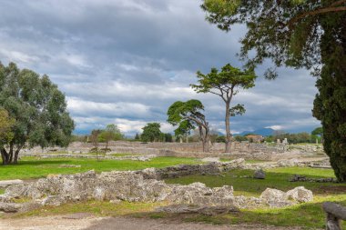 İtalya 'nın şimdiki Paestum kenti Poseidonia' nın kalıntıları (MÖ 550-450). Bulutlu ve güneşli bir bahar gününde Paestum Arkeoloji Parkı manzarası