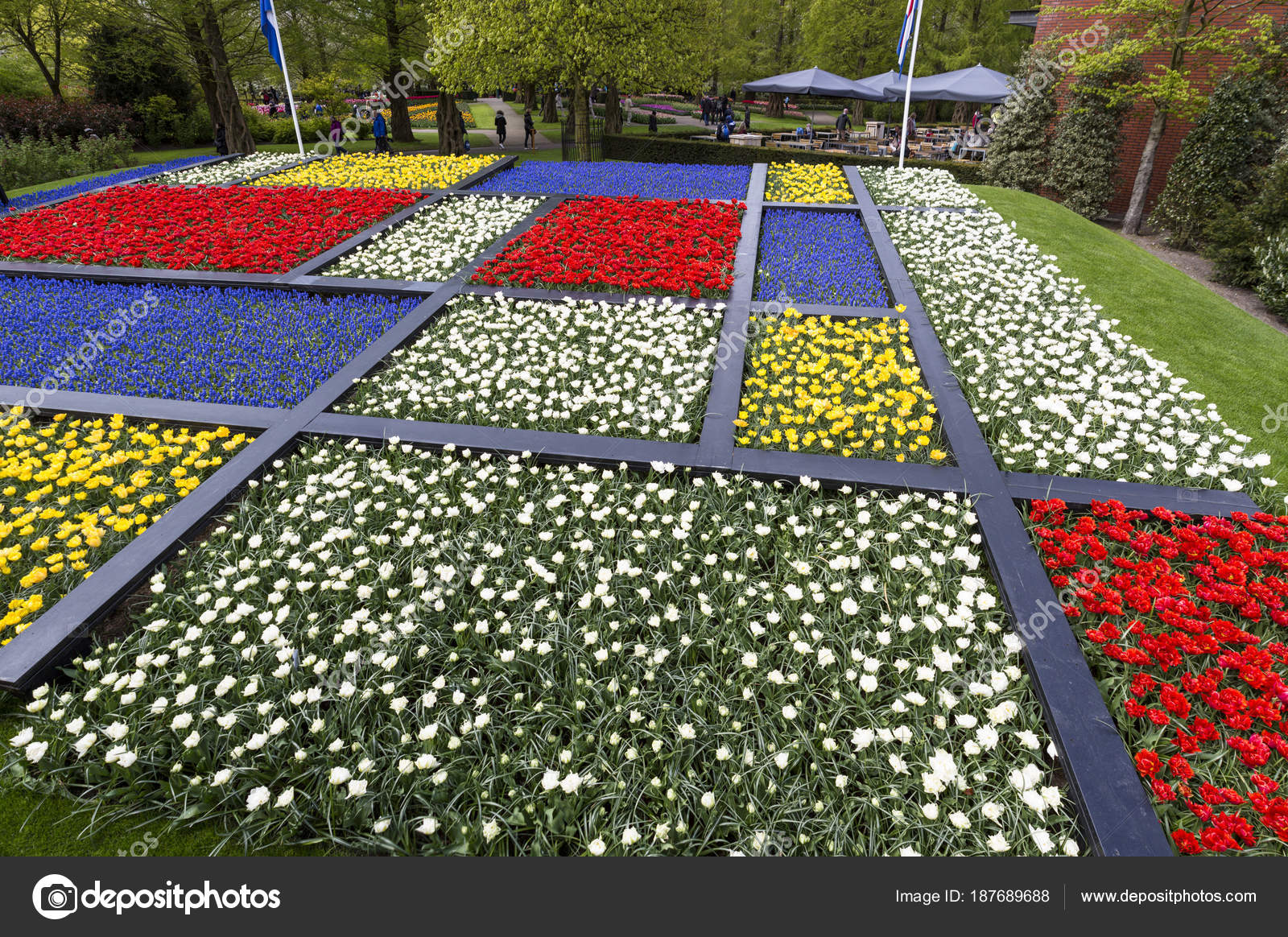 The Keukenhof, the flower garden in the Netherlands. Stock Editorial