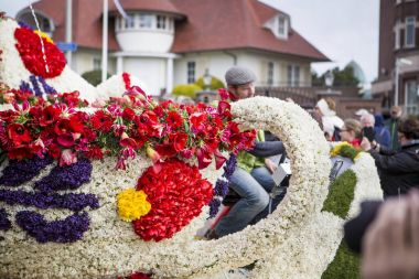 Bahar, Hollanda çiçek Parade.