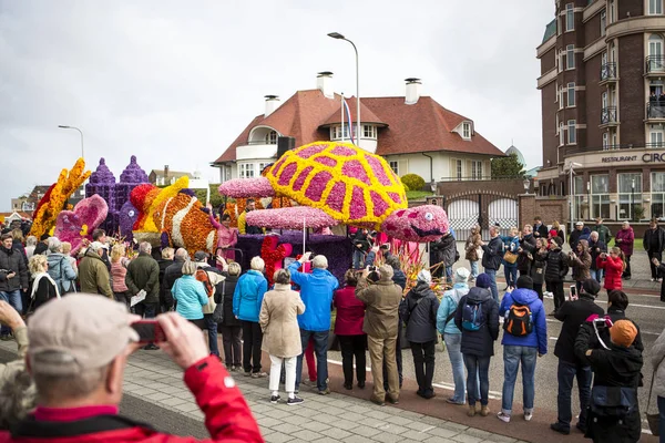 The Flower Parade in the Netherlands at springtime. — Stock Photo, Image