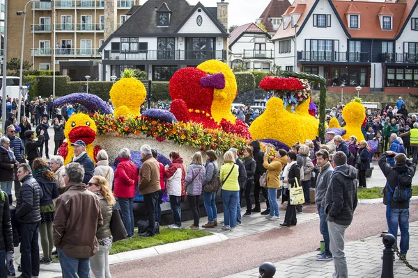 The Flower Parade in the Netherlands at springtime. — Stock Photo, Image