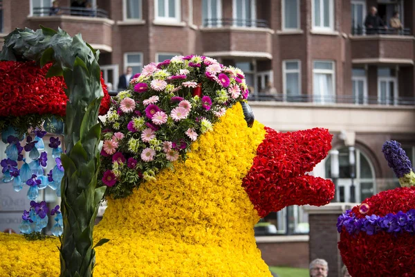봄 날에 네덜란드에서 꽃 퍼레이드. — 스톡 사진