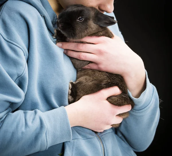 Girl holding a rabbit. — Stock Photo, Image