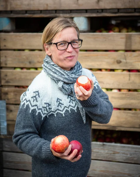 Γυναίκα Δοκιμάζει Ένα Φρέσκο Μήλο Μπροστά Από Μια Συγκομιδή Μήλων — Φωτογραφία Αρχείου