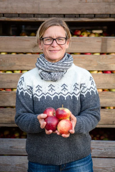 Happy Female Holding Several Apples Her Hands Front Harvested Apples — Stock Photo, Image