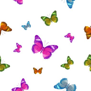 Butterfly pattern vector on white back for education,agriculment,science,artwork,Graphic design.