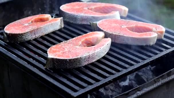 Izgarada Kızartılmış Taze Somon Bifteği Lezzetli Sağlıklı Balıklar — Stok video