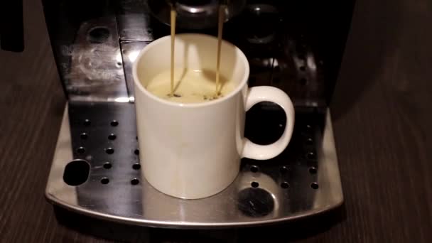 Fersk Kaffe Helles Kopp Kaffemaskin – stockvideo