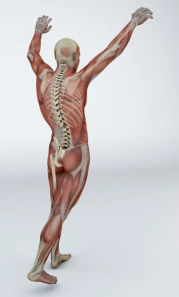 Homem músculos dor nas costas — Fotografia de Stock