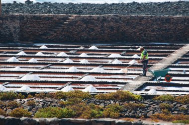 Fuerteventura, Kanarya Adaları, İspanya: Las Salinas del Carmen, etnografik, kültürel ve doğal ilgi odağı olan bir yeri tanınan adada sadece operasyonel tuz daireler, tuz Toplayıcı