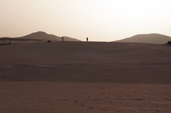 Fuerteventura, Îles Canaries, Espagne : marche au coucher du soleil dans le Parc Naturel de Corralejo, le parc national des dunes de sable de l'île, zone de 11 km avec des dunes formées par le temps avec le sable traversant l'océan depuis le désert du Sahara — Photo