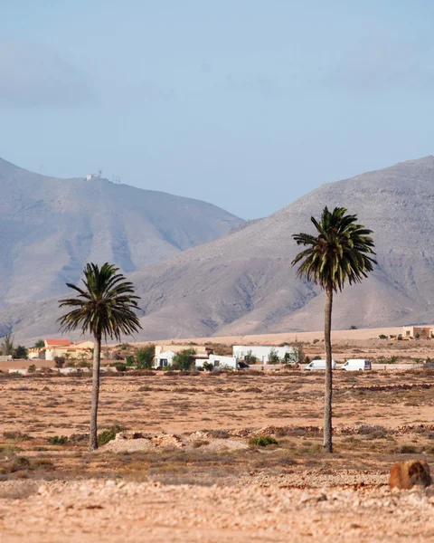 Fuerteventura: Kanarya manzara görünümünü avuç içi ile beyaz evler ve desertic arazi 