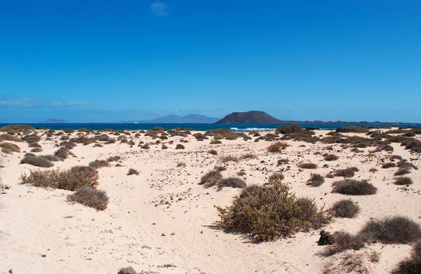 Fuerteventura, Wyspy Kanaryjskie, Hiszpania: wydmy na plaży z Grandes Playas (The Big plaże), jedną z znanych plaż miłośników kitesurfingu i windsurfingu, z wyspy Lobos, małej wyspie 2 km na północ od wyspy Fuerteventura — Zdjęcie stockowe