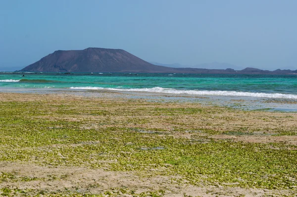 Fuerteventura: düşük tide Grandes Playas Beach Lobos ada manzaralı — Stok fotoğraf