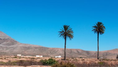 Fuerteventura, Kanarya Adaları, İspanya: palm ağaçlar, beyaz evler ve Tefia, bir çok küçük köyde, La Oliva, güneyinde Kuzey Orta adanın etrafında çöl ve Mars peyzaj havadan görünümü 