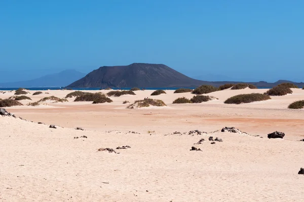 Fuerteventura, Canarische eilanden, Spanje: zandduinen op het strand van Grandes Playas (de grote stranden), een van de beroemde stranden voor kitesurfen en windsurfen, met Lobos eiland, een eilandje 2 km ten noorden van Fuerteventura — Stockfoto