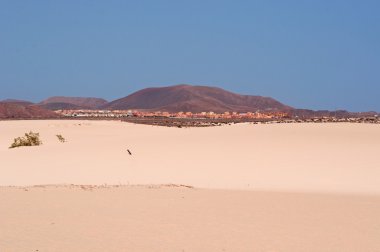 Fuerteventura, Kanarya Adaları, İspanya: Parque doğal de Corralejo, kum tepeleri adanın tepeleri ile 11 km yüzölçümü Milli Parkı havadan görünümü zamanla Okyanus ötesinden Sahara Çölü'nden gelen kum ile kurulan