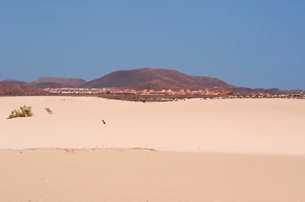 Fuerteventura, Kanarya Adaları, İspanya: Parque doğal de Corralejo, kum tepeleri adanın tepeleri ile 11 km yüzölçümü Milli Parkı havadan görünümü zamanla Okyanus ötesinden Sahara Çölü'nden gelen kum ile kurulan — Stok fotoğraf